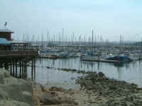 monterey_harbour.jpg (37220 bytes)