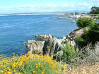 monterey_bay.jpg (101689 bytes)