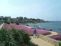 pacific_grove.jpg (34581 bytes)