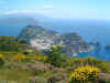capri